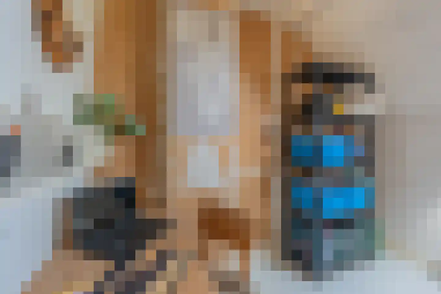 Lange Geer 7 Hansweert thumbnail 56