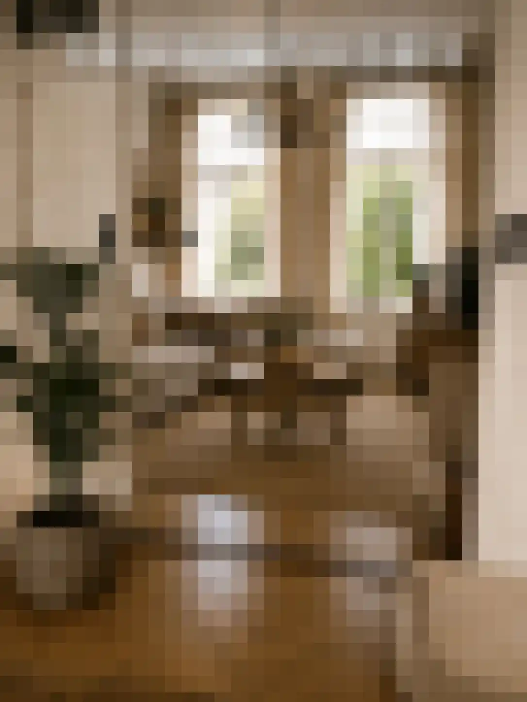 Lange Geer 7 Hansweert thumbnail 58