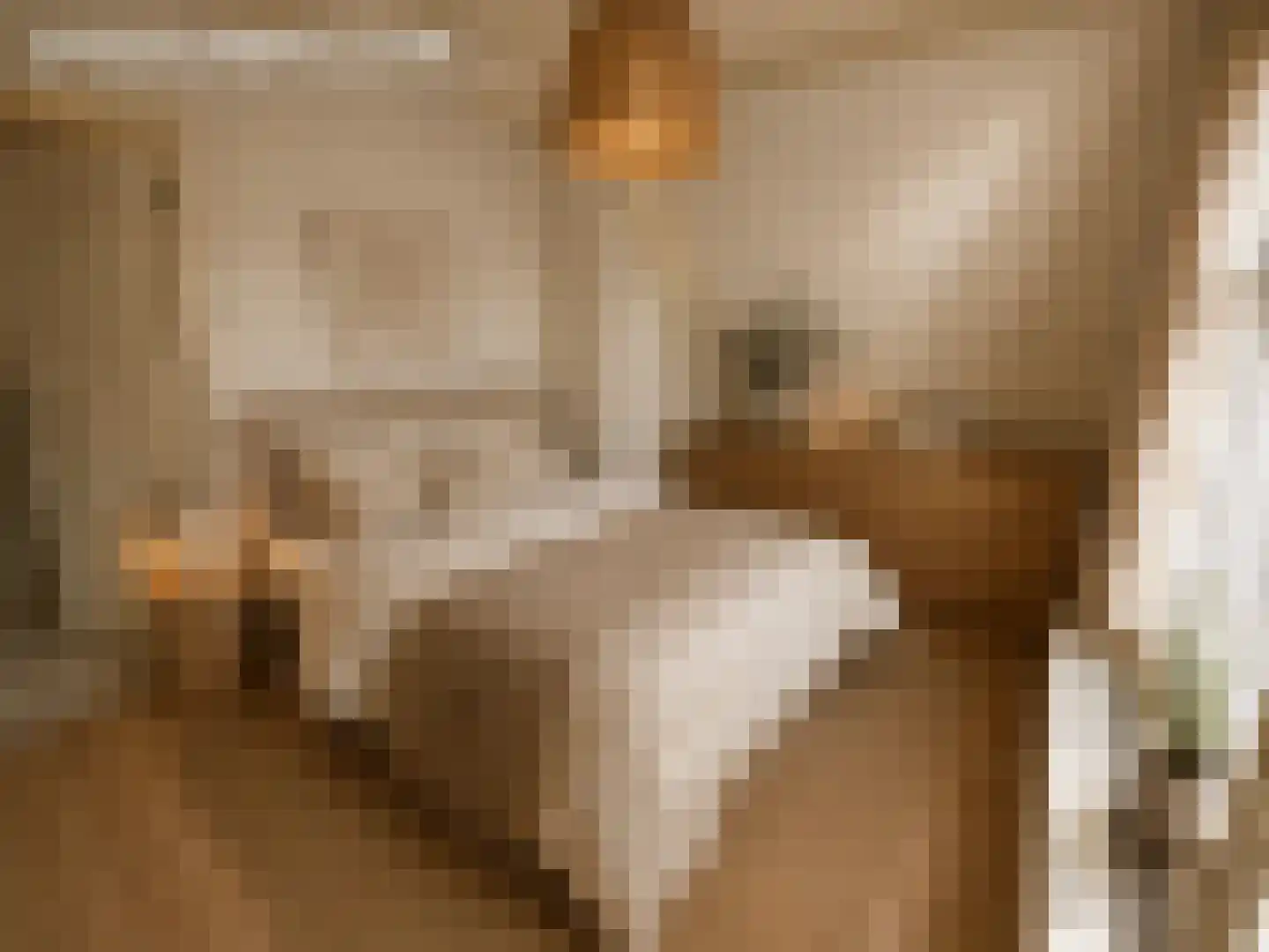 Lange Geer 7 Hansweert thumbnail 64