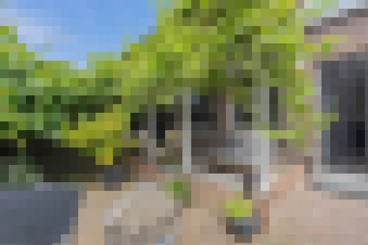 Lange Geer 7 Hansweert thumbnail 68