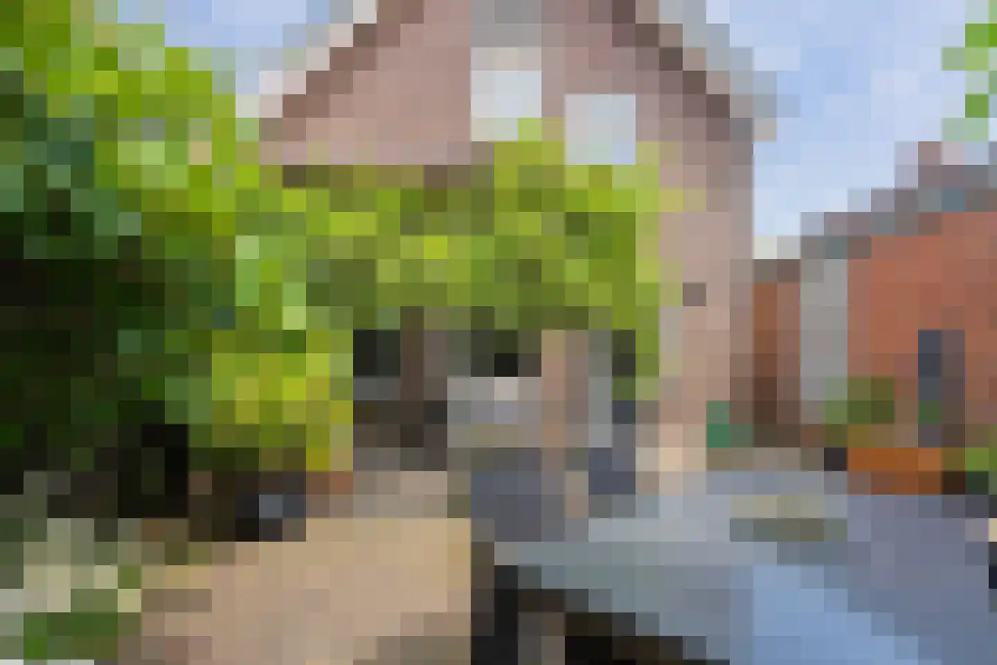 Lange Geer 7 Hansweert thumbnail 69