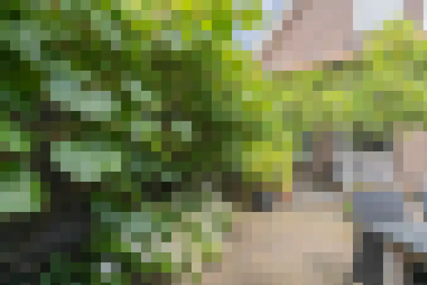 Lange Geer 7 Hansweert thumbnail 70