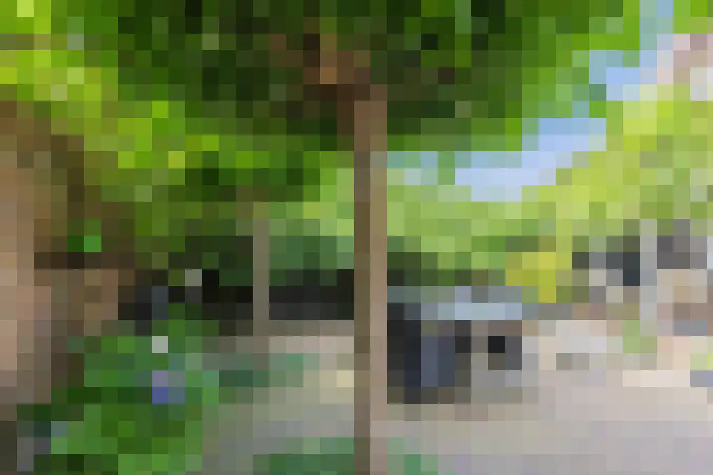 Lange Geer 7 Hansweert thumbnail 71
