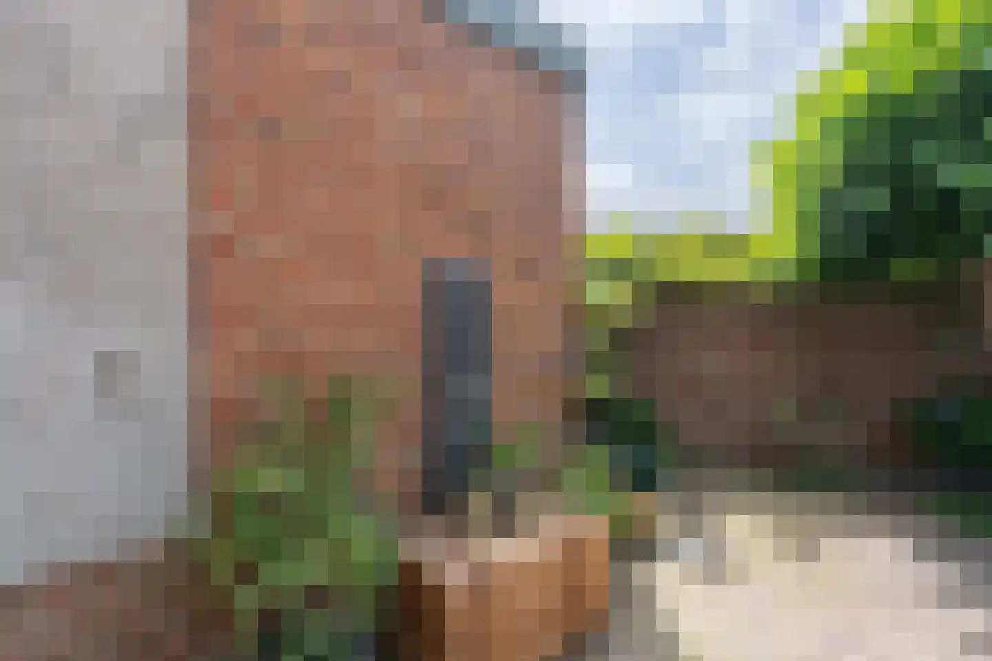 Lange Geer 7 Hansweert thumbnail 75
