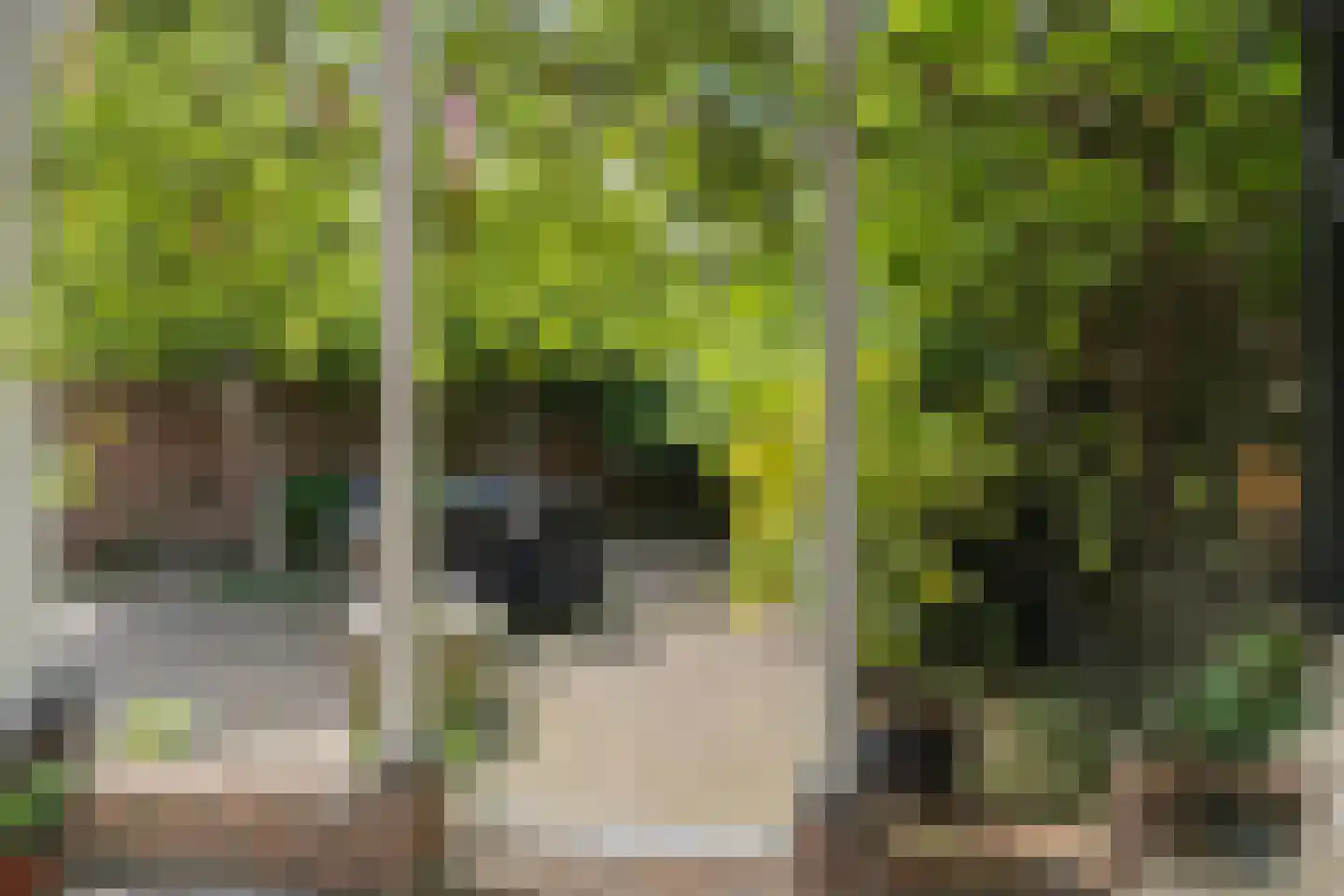 Lange Geer 7 Hansweert thumbnail 79