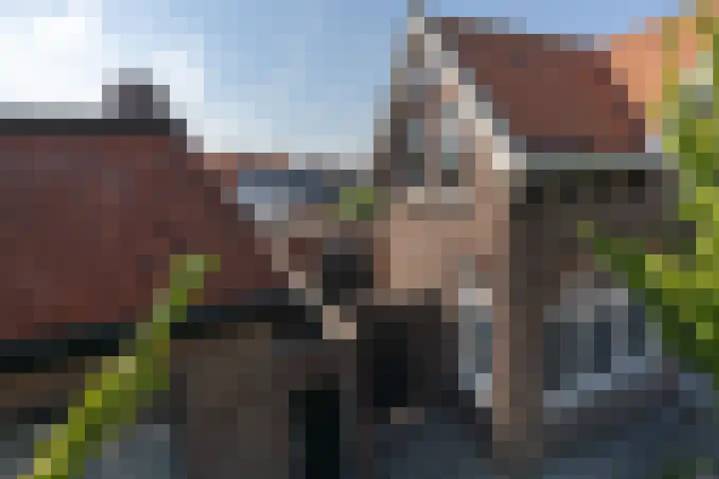 Lange Geer 7 Hansweert thumbnail 8