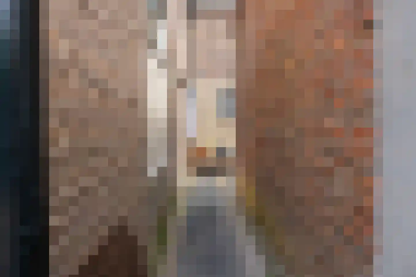 Lange Geer 7 Hansweert thumbnail 80