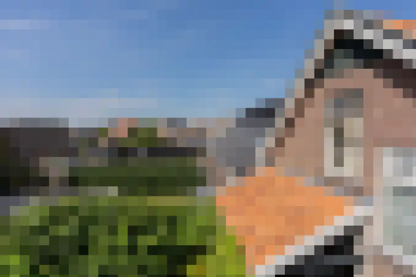 Lange Geer 7 Hansweert thumbnail 87