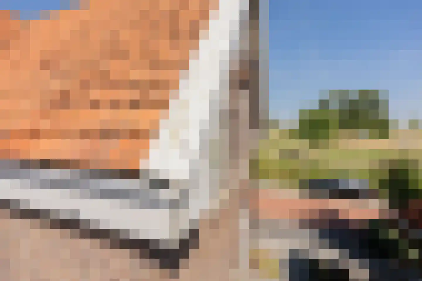 Lange Geer 7 Hansweert thumbnail 95