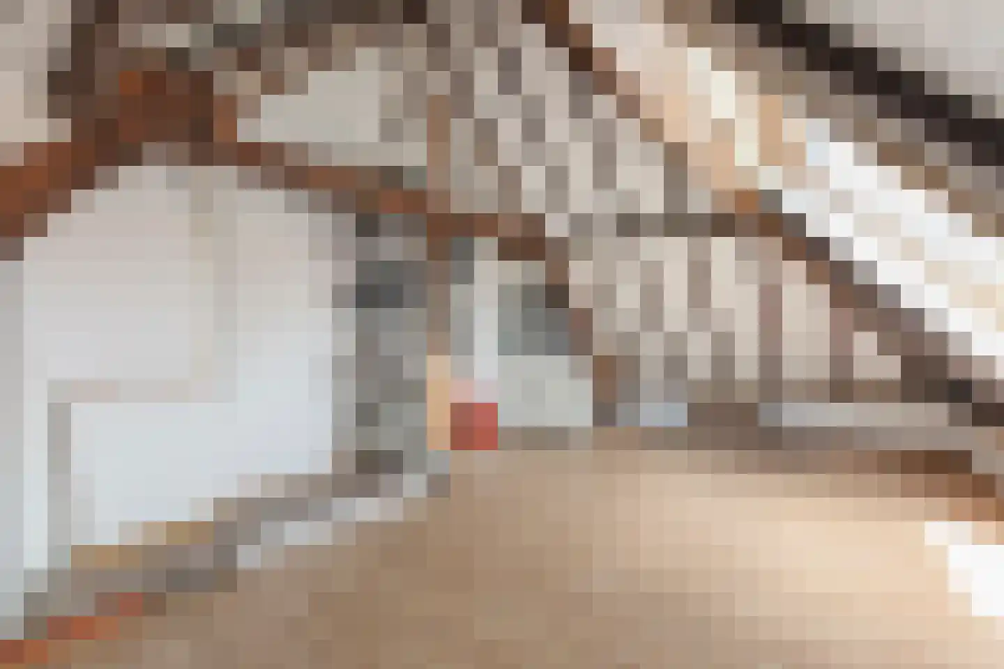 Lange Geer 8 A Delft thumbnail 29