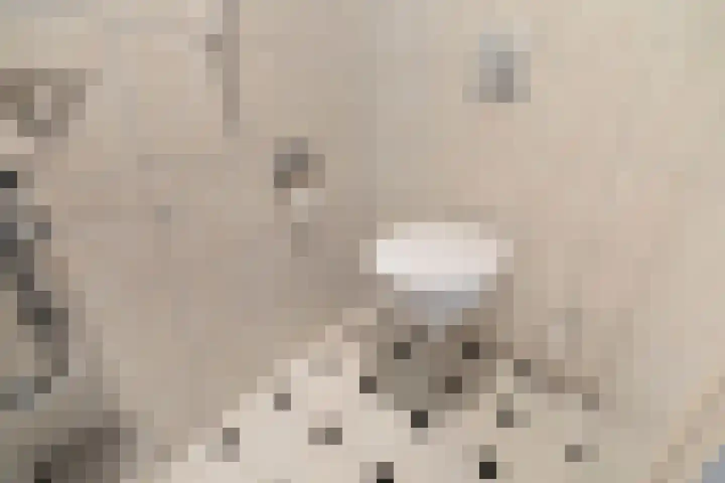 Lange Geer 8 A Delft thumbnail 6