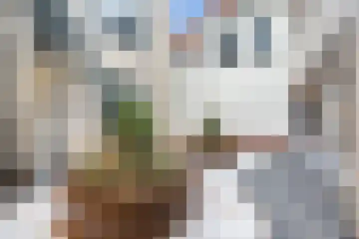 Lange Geere 1 D Middelburg thumbnail 11