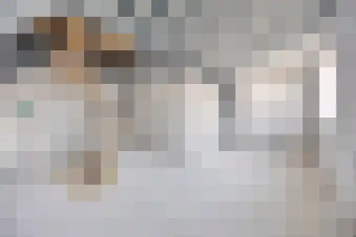 Lange Geere 1 E Middelburg thumbnail 6