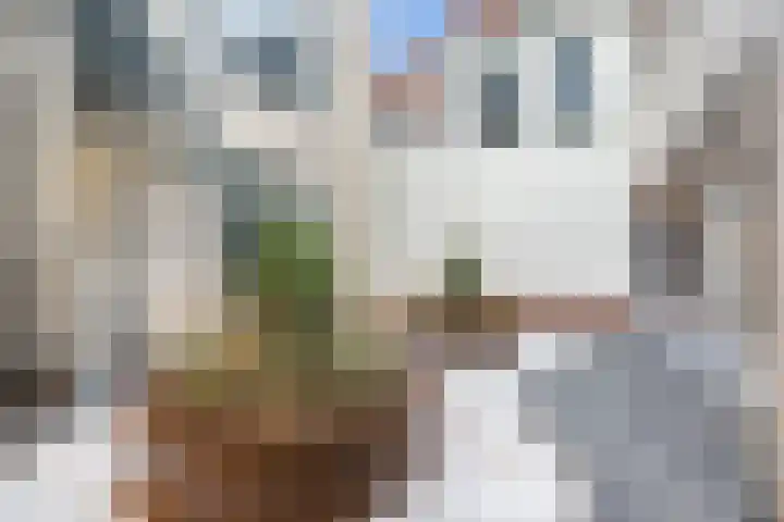 Lange Geere 1 E Middelburg thumbnail 8