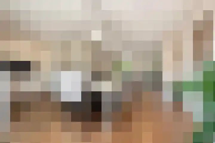 Lange Grafte 27 Apeldoorn thumbnail 17