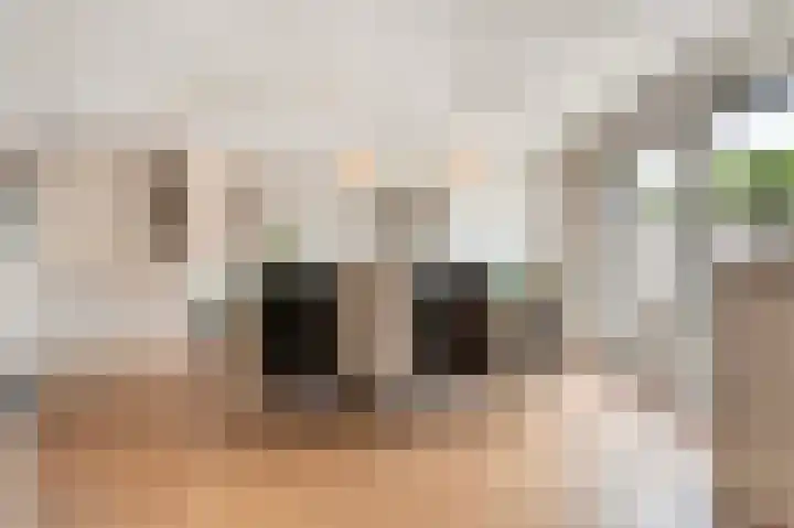 Lange Grafte 27 Apeldoorn thumbnail 20