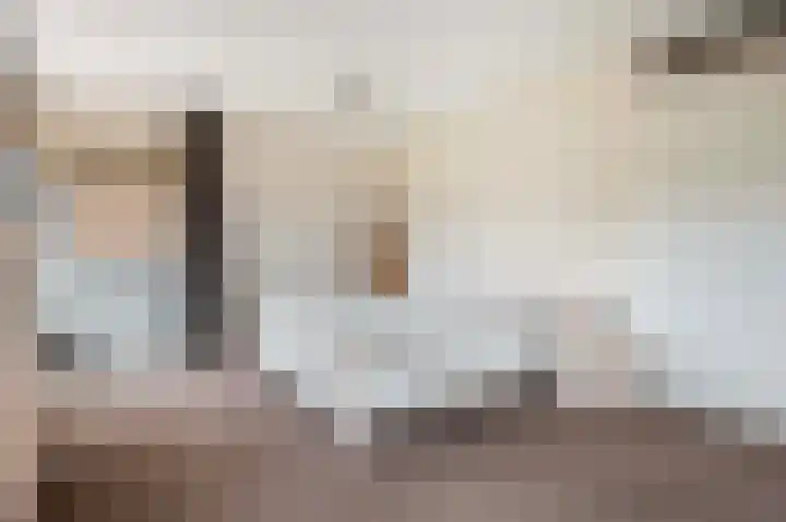 Lange Grafte 27 Apeldoorn thumbnail 24