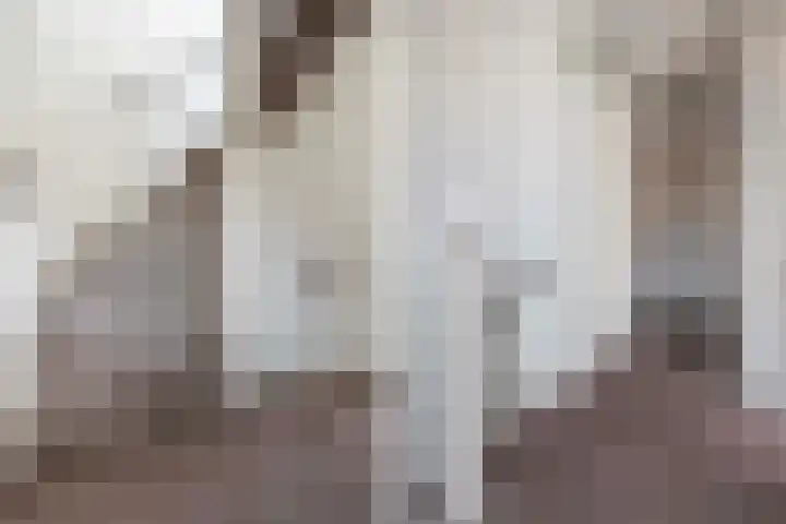 Lange Grafte 27 Apeldoorn thumbnail 30