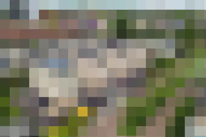 Lange Grafte 27 Apeldoorn thumbnail 46