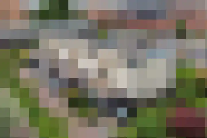 Lange Grafte 27 Apeldoorn thumbnail 47
