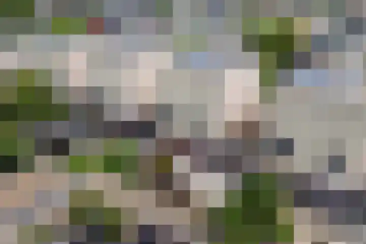 Lange Grafte 27 Apeldoorn thumbnail 49