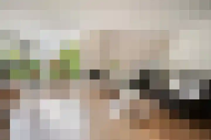 Lange Grafte 27 Apeldoorn thumbnail 7