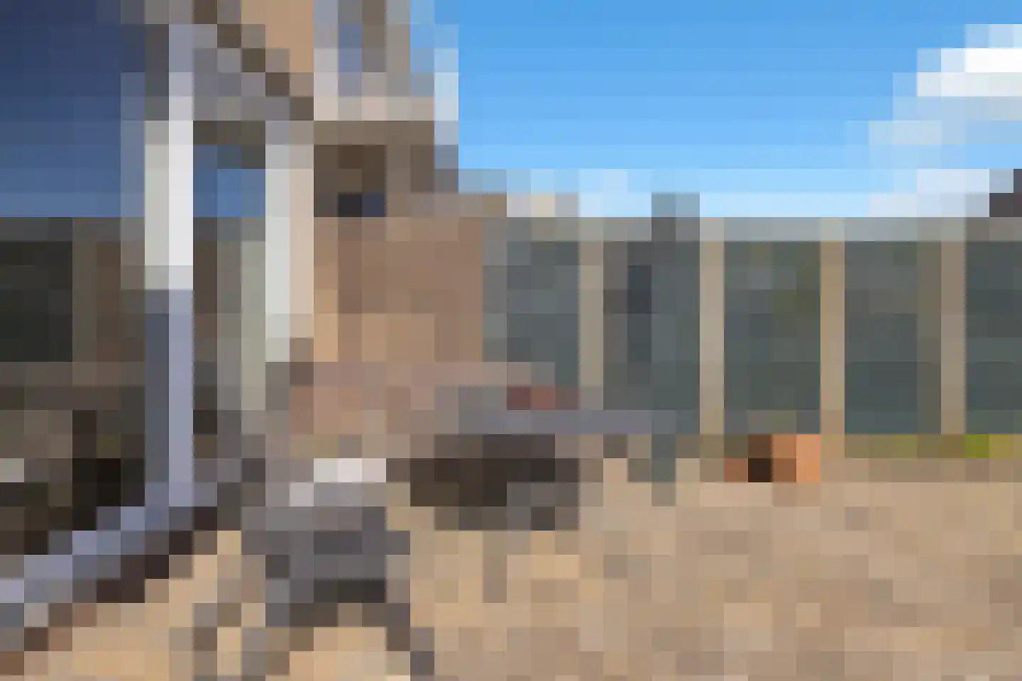 Lange Griendsweer 11 Hardinxveld-Giessendam thumbnail 12