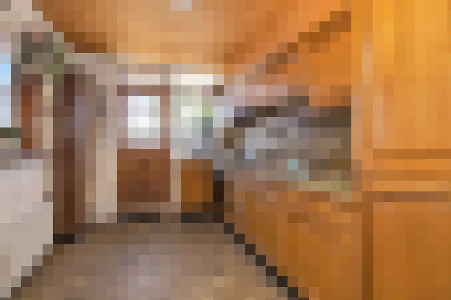 Lange Griendsweer 11 Hardinxveld-Giessendam thumbnail 8
