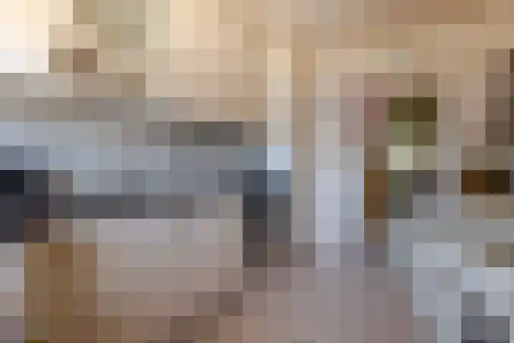 Lange Griendsweer 9 Hardinxveld-Giessendam thumbnail 11