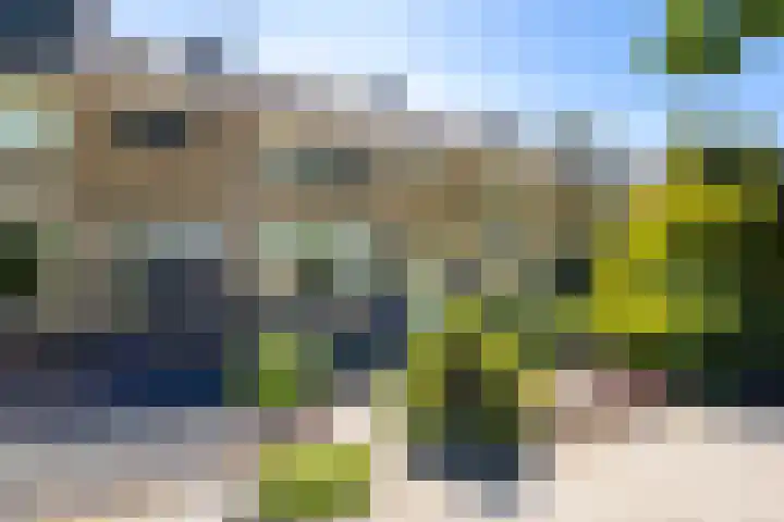 Lange Griendsweer 9 Hardinxveld-Giessendam thumbnail 30