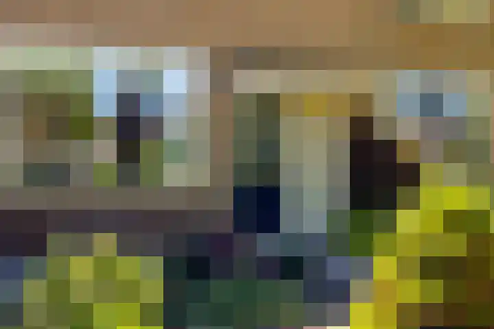 Lange Griendsweer 9 Hardinxveld-Giessendam thumbnail 31