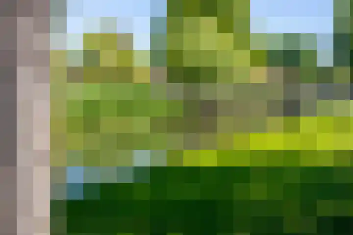 Lange Griendsweer 9 Hardinxveld-Giessendam thumbnail 33