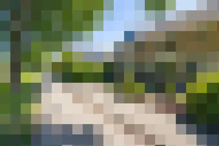 Lange Griendsweer 9 Hardinxveld-Giessendam thumbnail 4