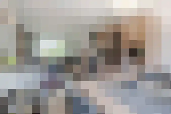 Lange Griendsweer 9 Hardinxveld-Giessendam thumbnail 8