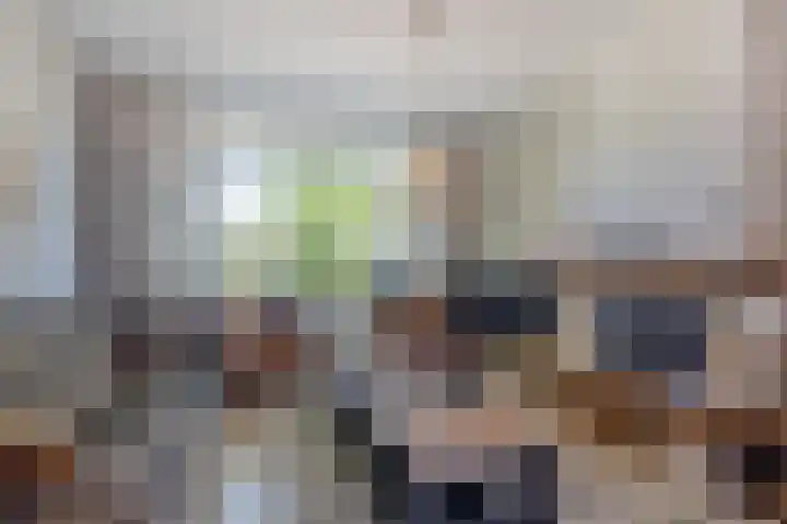 Lange Griendsweer 9 Hardinxveld-Giessendam thumbnail 9