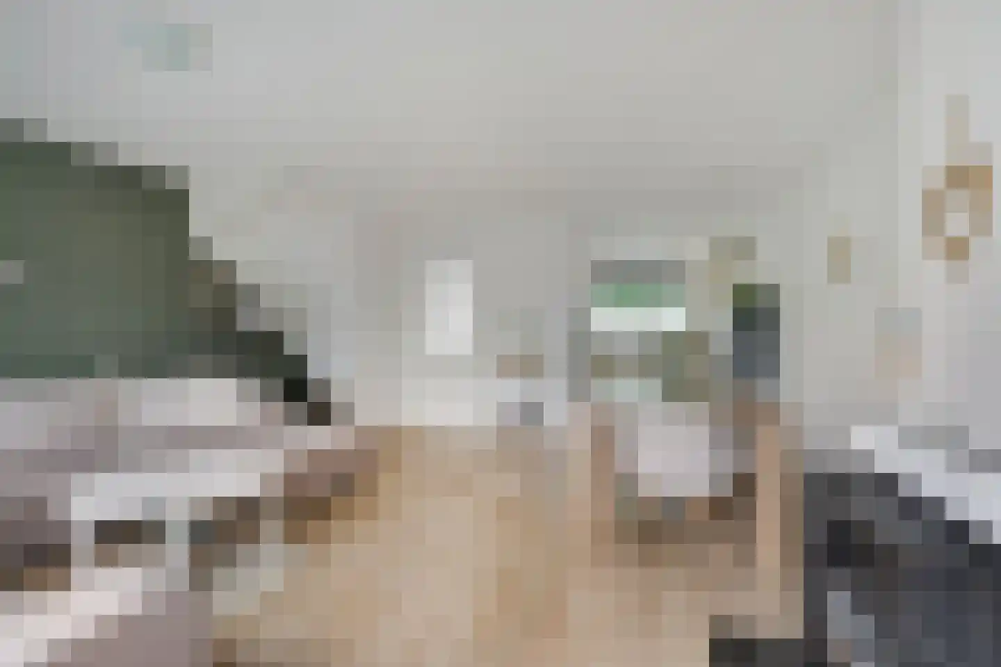 Lange Griet 5 Westervoort thumbnail 11