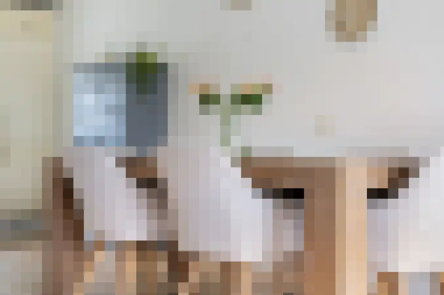 Lange Griet 5 Westervoort thumbnail 15