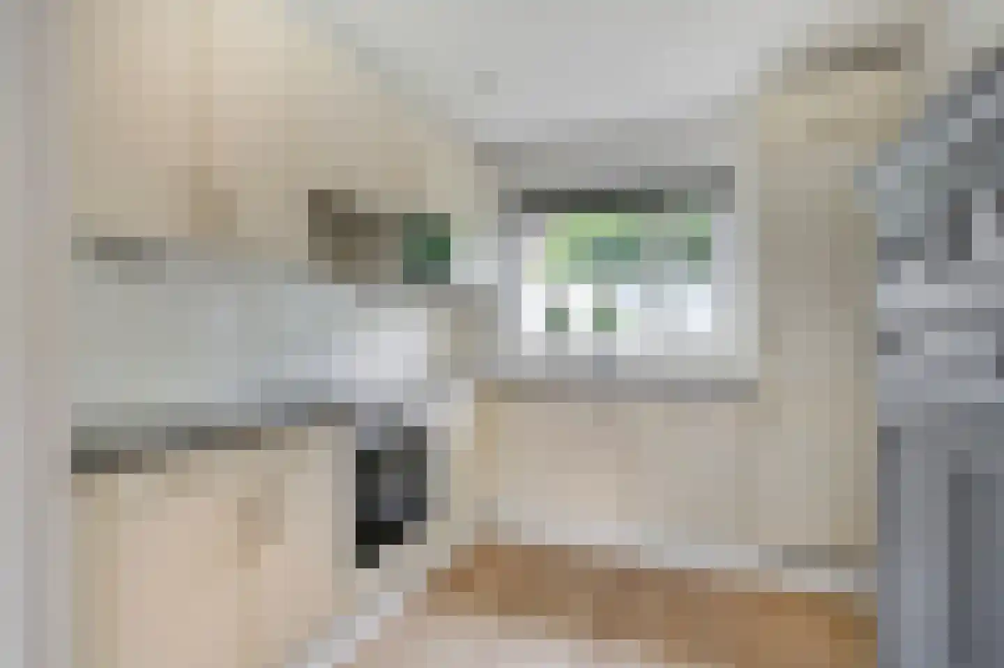 Lange Griet 5 Westervoort thumbnail 16