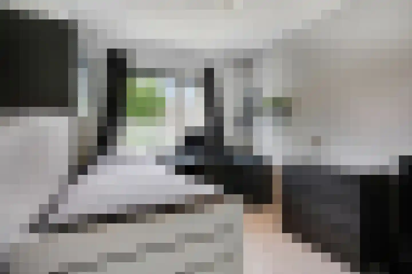 Lange Griet 5 Westervoort thumbnail 23