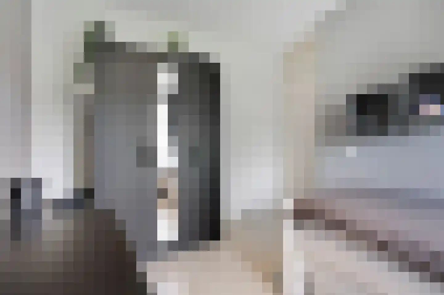 Lange Griet 5 Westervoort thumbnail 24