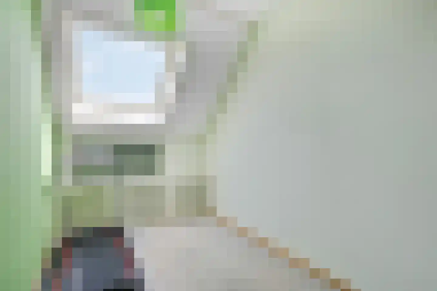 Lange Griet 5 Westervoort thumbnail 25