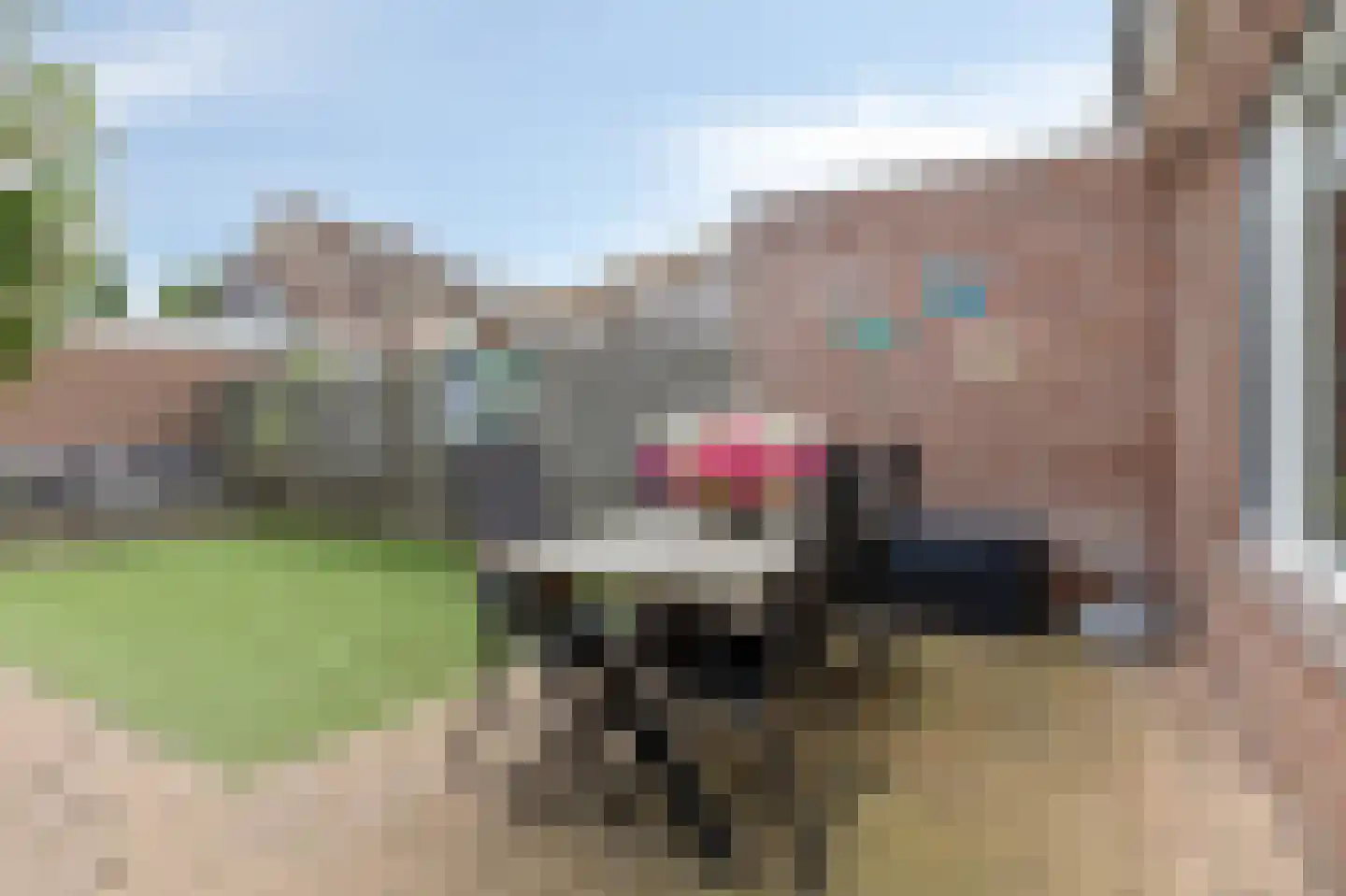 Lange Griet 5 Westervoort thumbnail 38