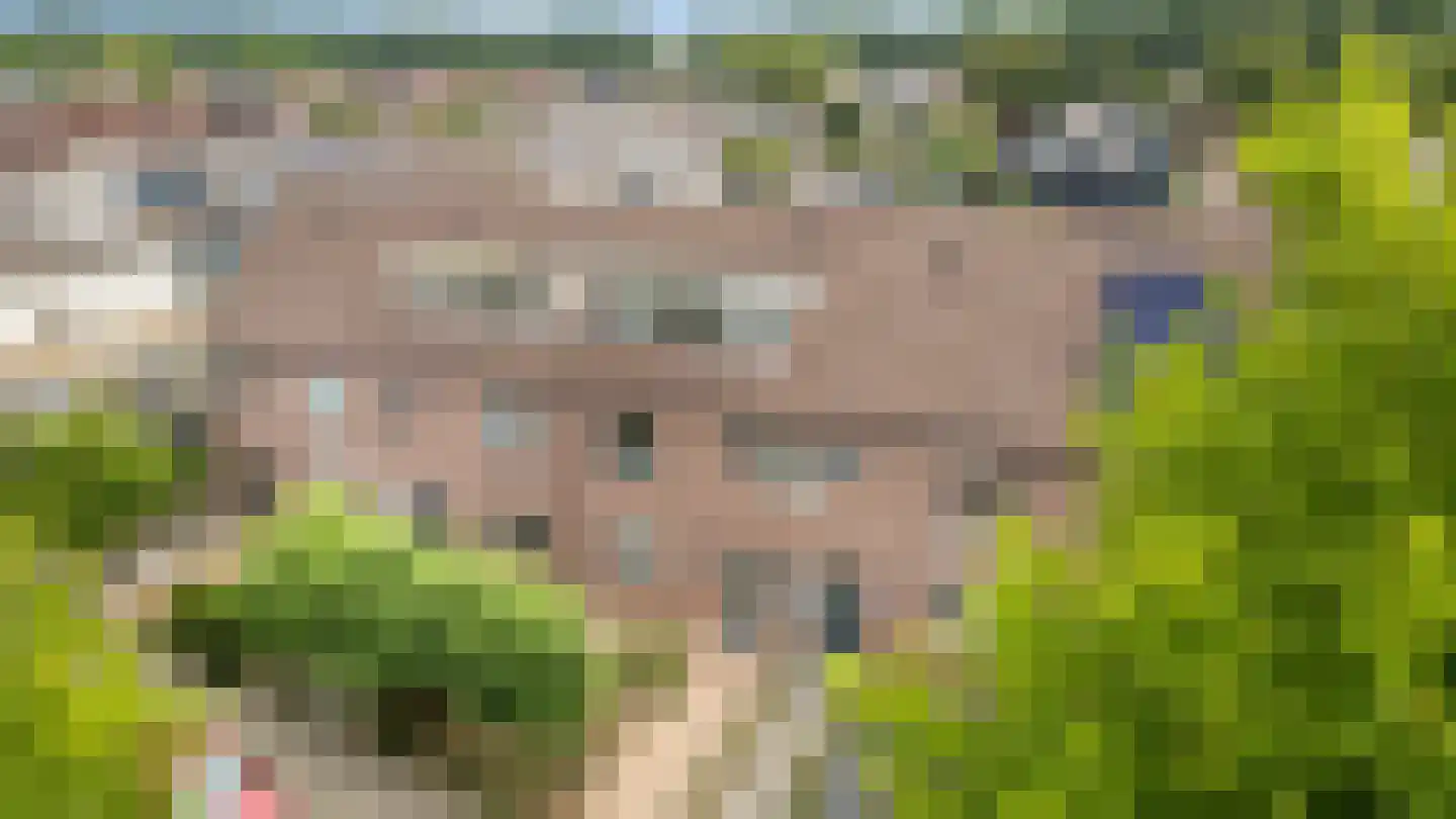 Lange Griet 5 Westervoort thumbnail 44
