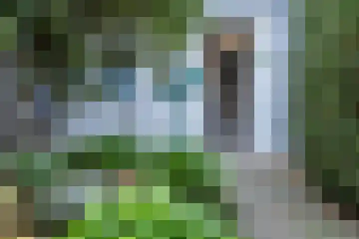 Lange Griet 58 Westervoort thumbnail 10