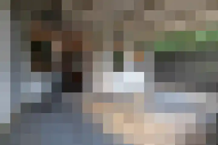 Lange Griet 58 Westervoort thumbnail 33