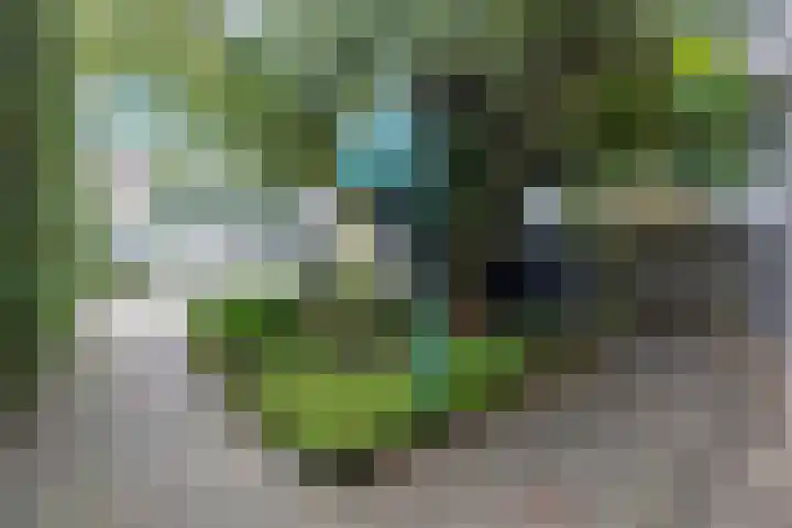 Lange Griet 58 Westervoort thumbnail 35