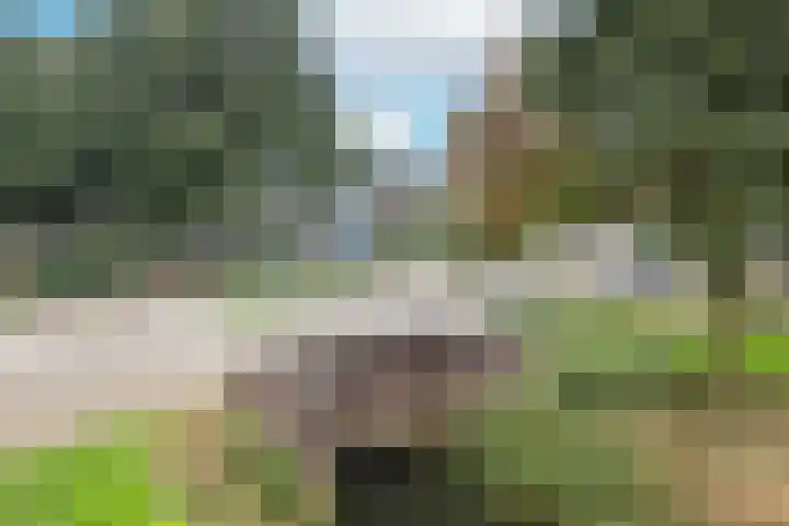 Lange Griet 58 Westervoort thumbnail 7
