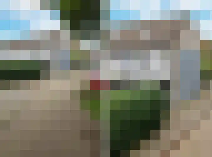 Lange Griet 58 Westervoort thumbnail 8