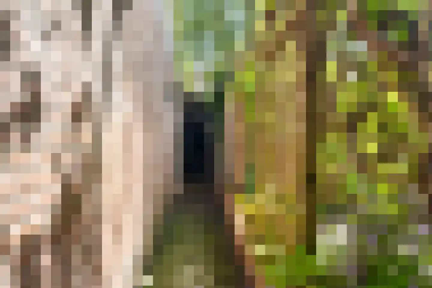Lange Groenendaal 107 Gouda thumbnail 21