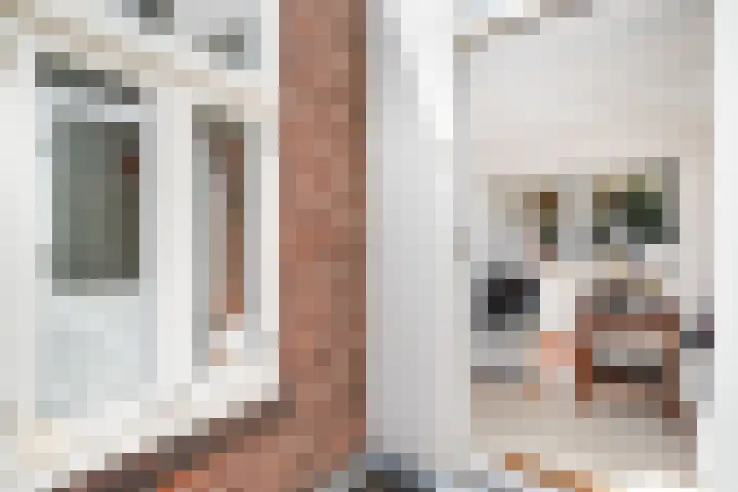 Lange Groenendaal 107 Gouda thumbnail 39
